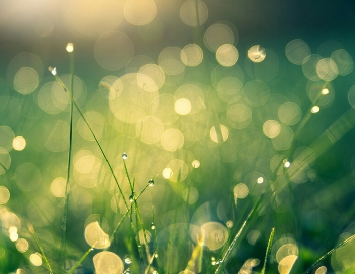 Программа Профилактическая плюс - Санаторий «им. Горького»