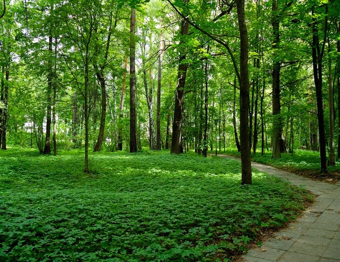 Внешний вид и территория - Санаторий «им. Горького»