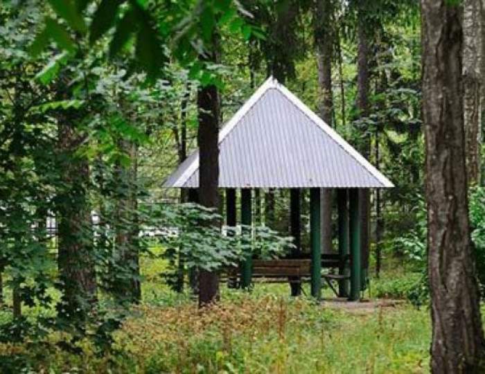 Беседки на территории санатория - Санаторий «им. Горького»